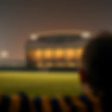 Magnificent 라이브 축구 분석 및 배팅 전략 Magnificent 라이브 축구 분석 및 배팅 전략