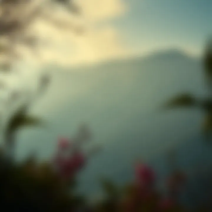 Magnificent 슈퍼 골프 드라이브 PG: 베팅 전략과 게임 이해