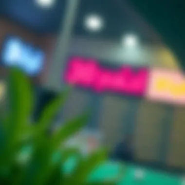 복잡한 복싱 베팅의 이해 Summary