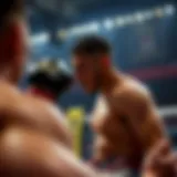 Understanding MMA betting odds