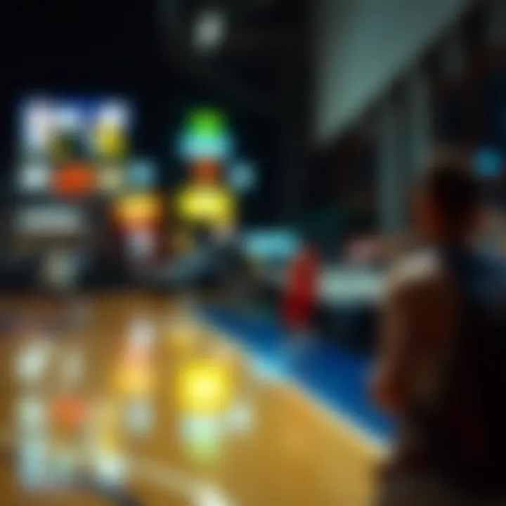 NBA 365: 연중무휴 농구의 세계 Summary