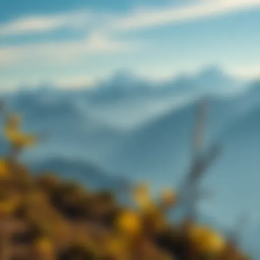 Scenic landscape of Nepal showcasing the Himalayas