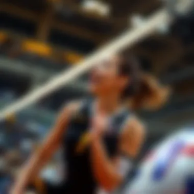 Performance Metrics in Volleyball Betting