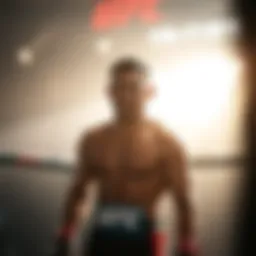 UFC 배팅 사이트: 깊이 있는 탐구 Introduction