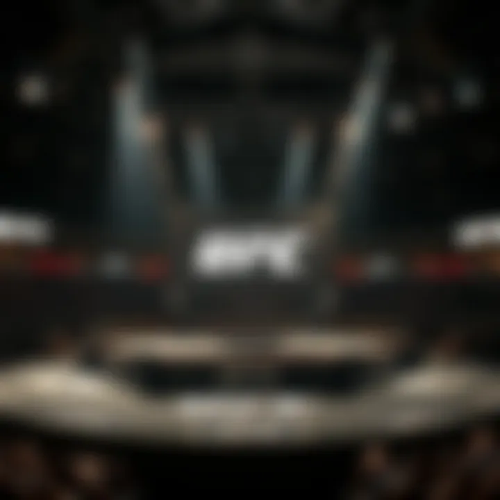 Structure of UFC Explained Visual representation of UFC structure